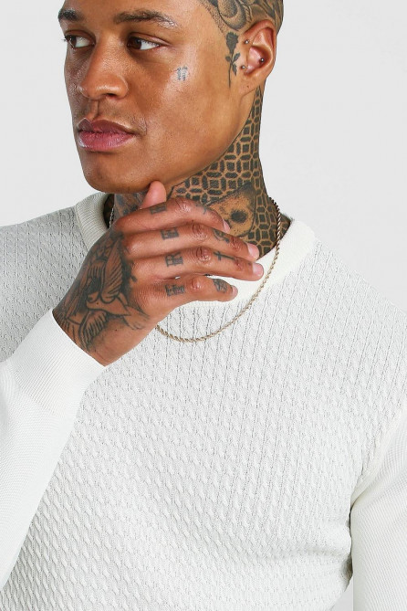 Textured Crew Neck Muscle Fit Jumper